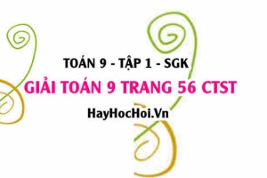 Giải Toán 9 trang 56 tập 1 Chân trời sáng tạo SGK